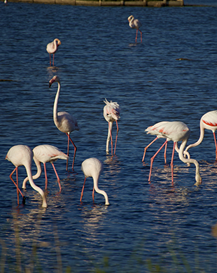 Ils nous font confiance